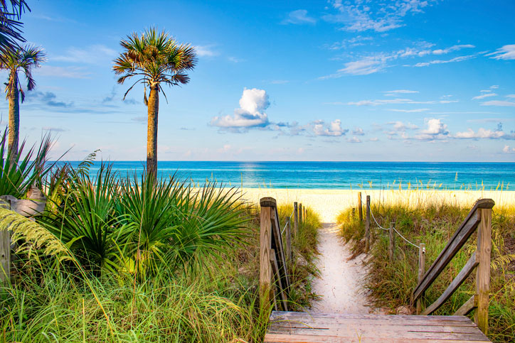 Palm trees on a Florida beach with white sand